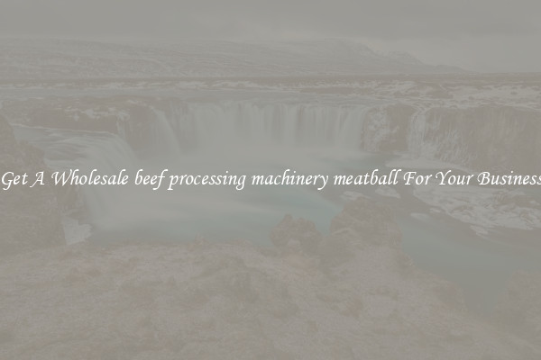Get A Wholesale beef processing machinery meatball For Your Business