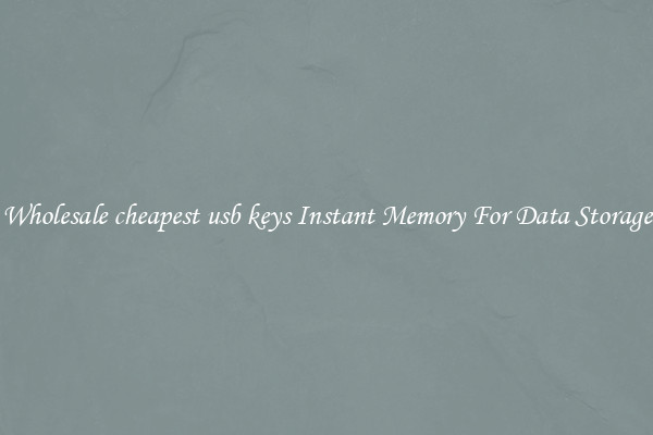 Wholesale cheapest usb keys Instant Memory For Data Storage