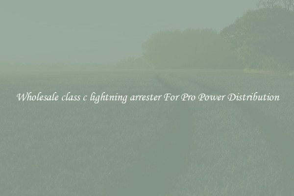 Wholesale class c lightning arrester For Pro Power Distribution