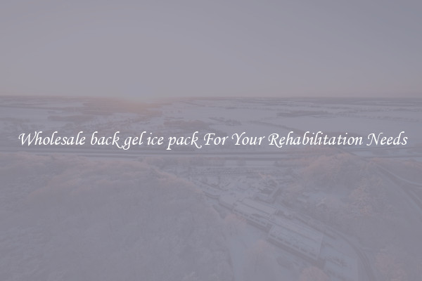 Wholesale back gel ice pack For Your Rehabilitation Needs