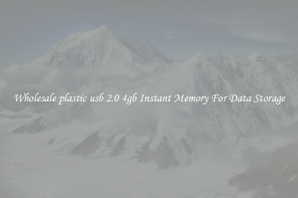 Wholesale plastic usb 2.0 4gb Instant Memory For Data Storage
