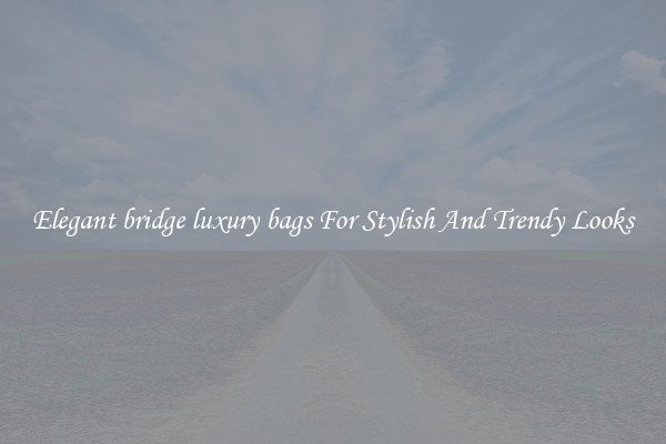 Elegant bridge luxury bags For Stylish And Trendy Looks