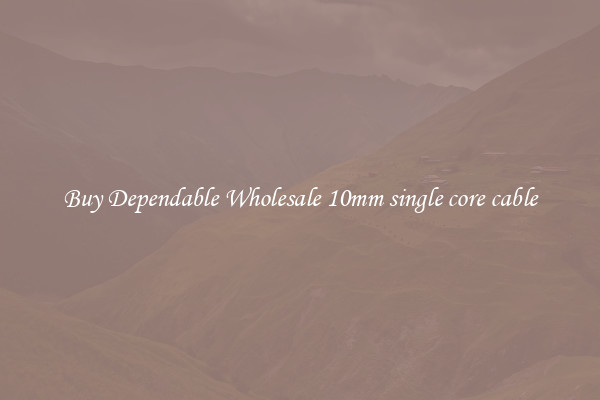 Buy Dependable Wholesale 10mm single core cable