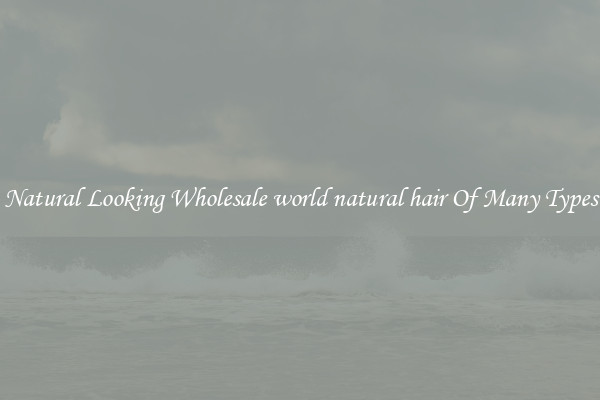 Natural Looking Wholesale world natural hair Of Many Types