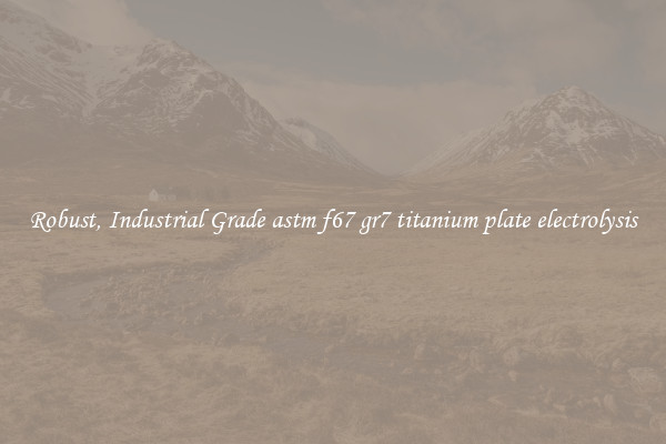 Robust, Industrial Grade astm f67 gr7 titanium plate electrolysis