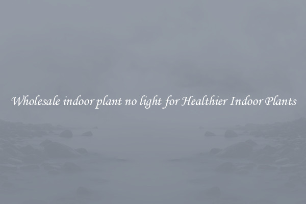 Wholesale indoor plant no light for Healthier Indoor Plants