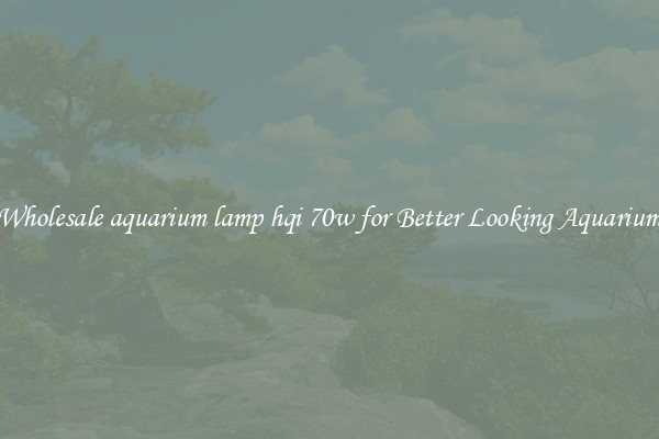 Wholesale aquarium lamp hqi 70w for Better Looking Aquarium