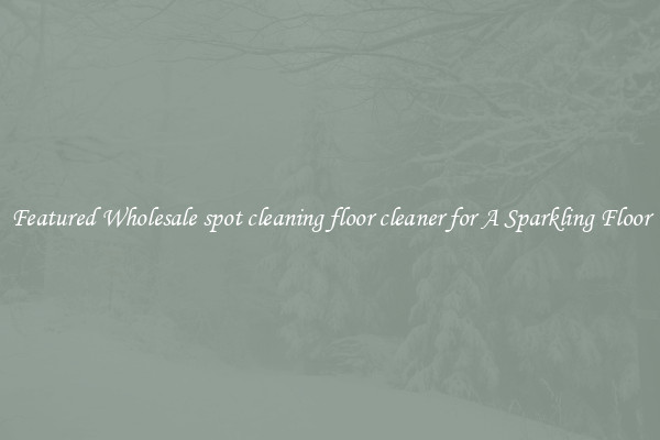 Featured Wholesale spot cleaning floor cleaner for A Sparkling Floor