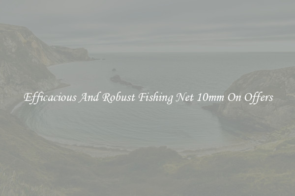 Efficacious And Robust Fishing Net 10mm On Offers