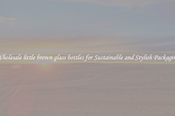 Wholesale little brown glass bottles for Sustainable and Stylish Packaging
