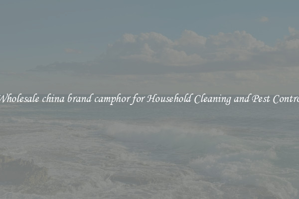 Wholesale china brand camphor for Household Cleaning and Pest Control