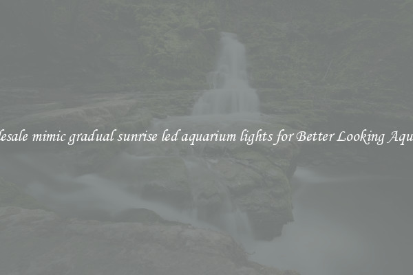 Wholesale mimic gradual sunrise led aquarium lights for Better Looking Aquarium