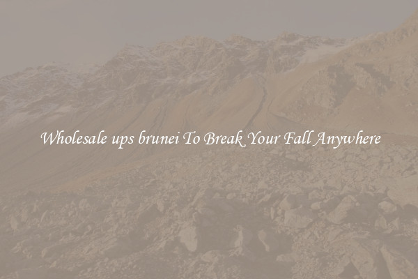Wholesale ups brunei To Break Your Fall Anywhere