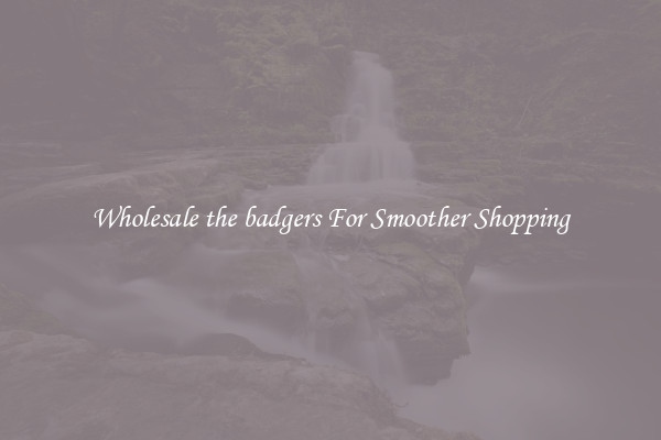 Wholesale the badgers For Smoother Shopping