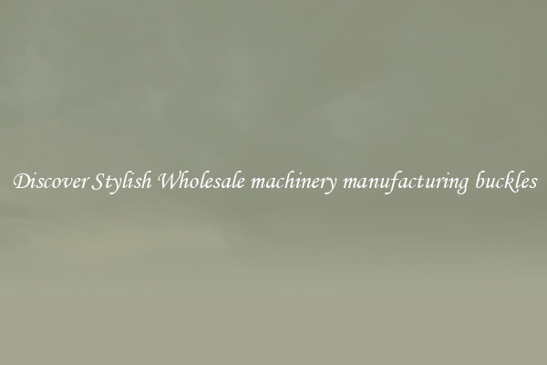 Discover Stylish Wholesale machinery manufacturing buckles