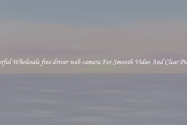 Powerful Wholesale free driver web camera For Smooth Video And Clear Pictures