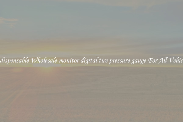 Indispensable Wholesale monitor digital tire pressure gauge For All Vehicles