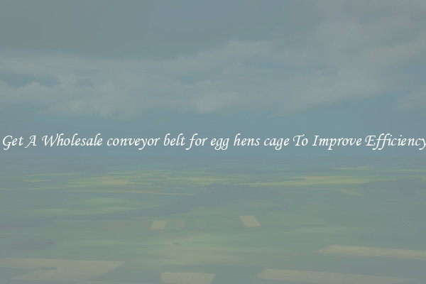 Get A Wholesale conveyor belt for egg hens cage To Improve Efficiency