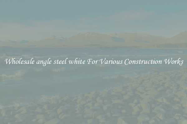 Wholesale angle steel white For Various Construction Works