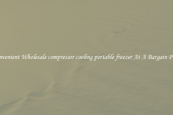 Convenient Wholesale compressor cooling portable freezer At A Bargain Price