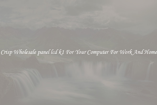 Crisp Wholesale panel lcd k1 For Your Computer For Work And Home